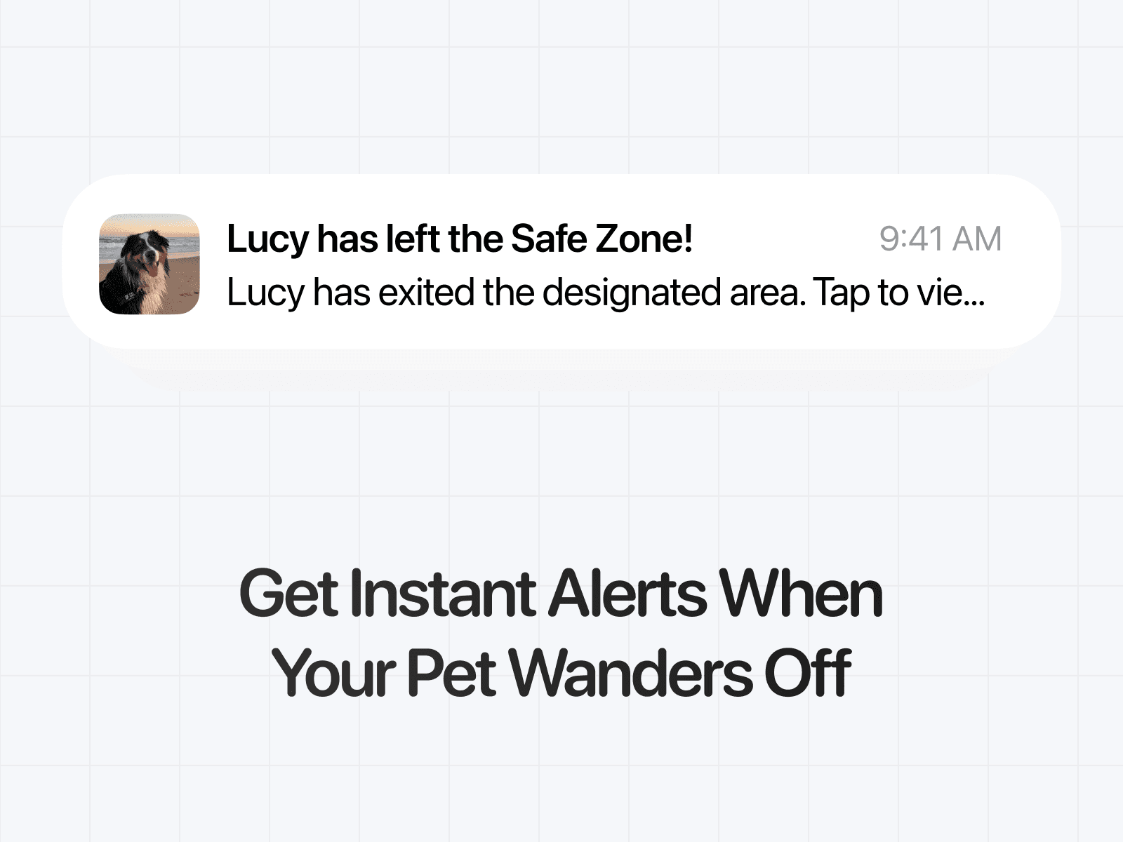 Notification of pet leaving the safe zone