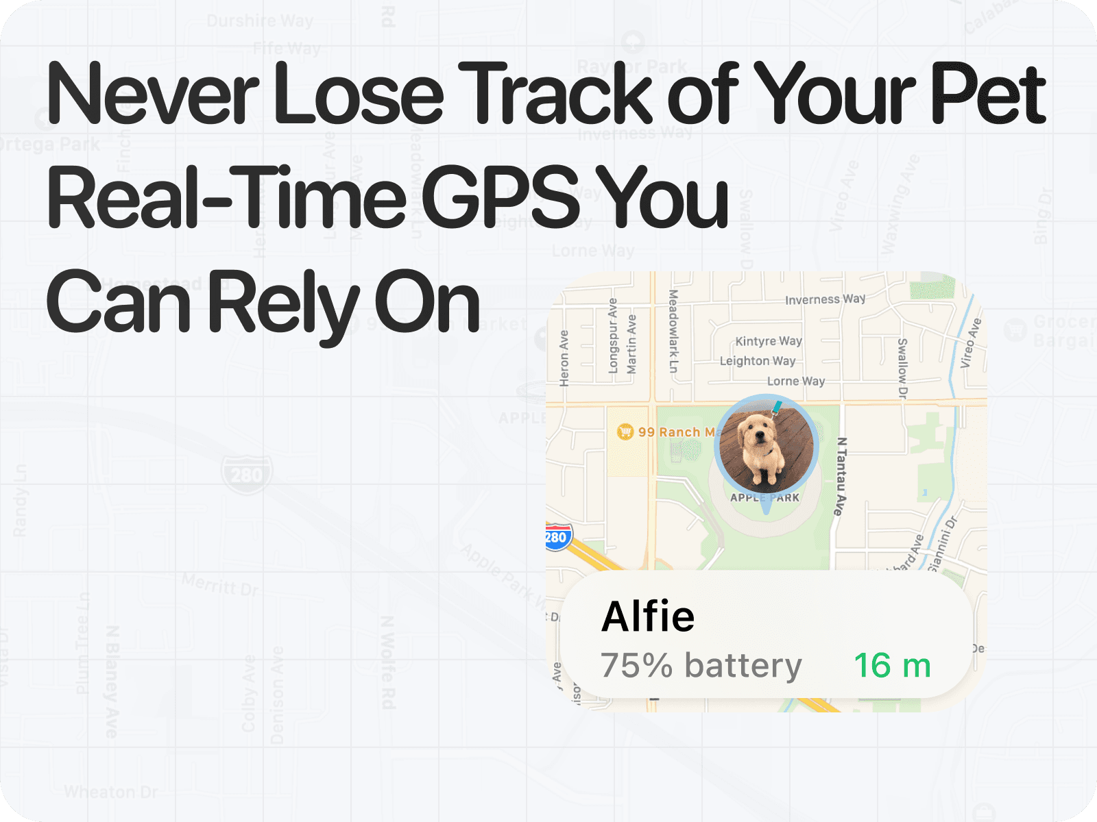 Map showing pet location and GPS collar battery status